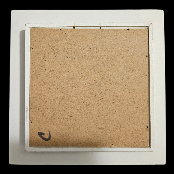 Pair White Framed Bird Wall Art Prints Bluebird Goldfinch Cottage Farmhouse Deco - Picture 5 of 5